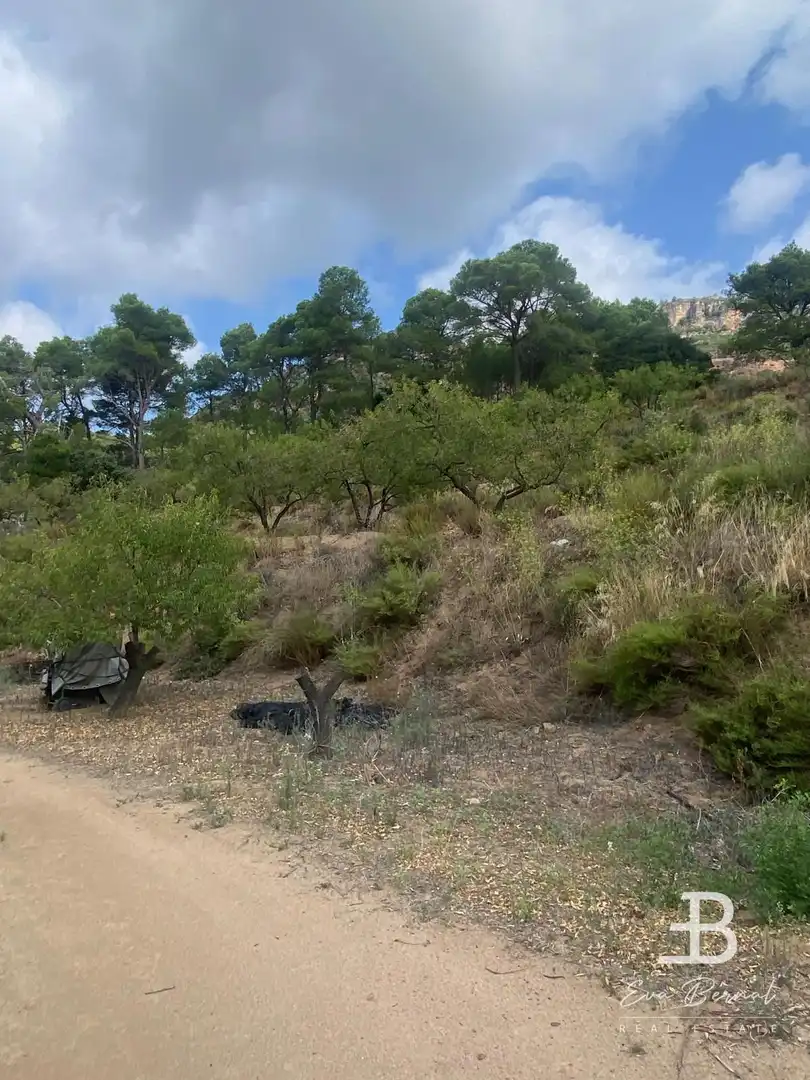 Terreny rústic en venda a Alforja, imagen 7
