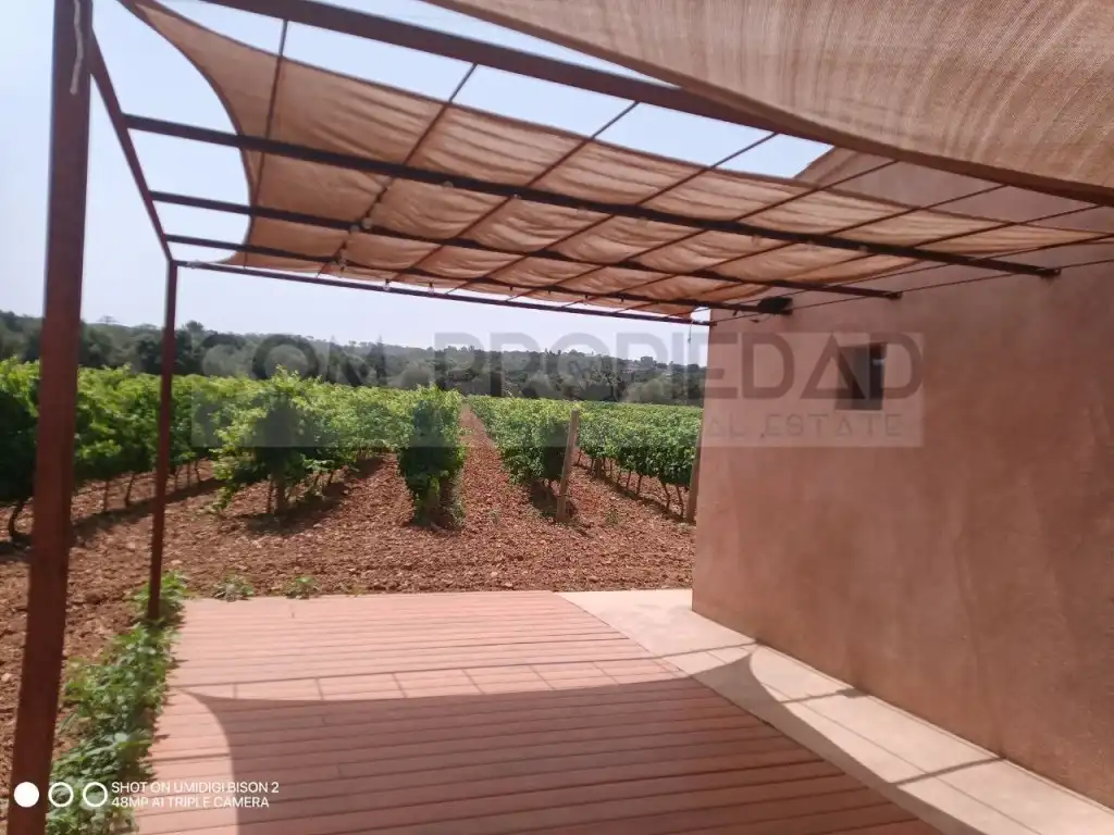 Terrace of Houses for sale in Costitx