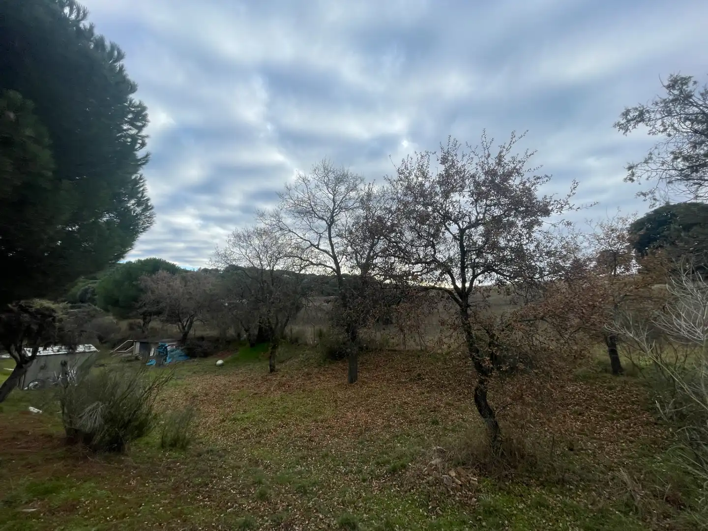 Residencial en venta en Uceda