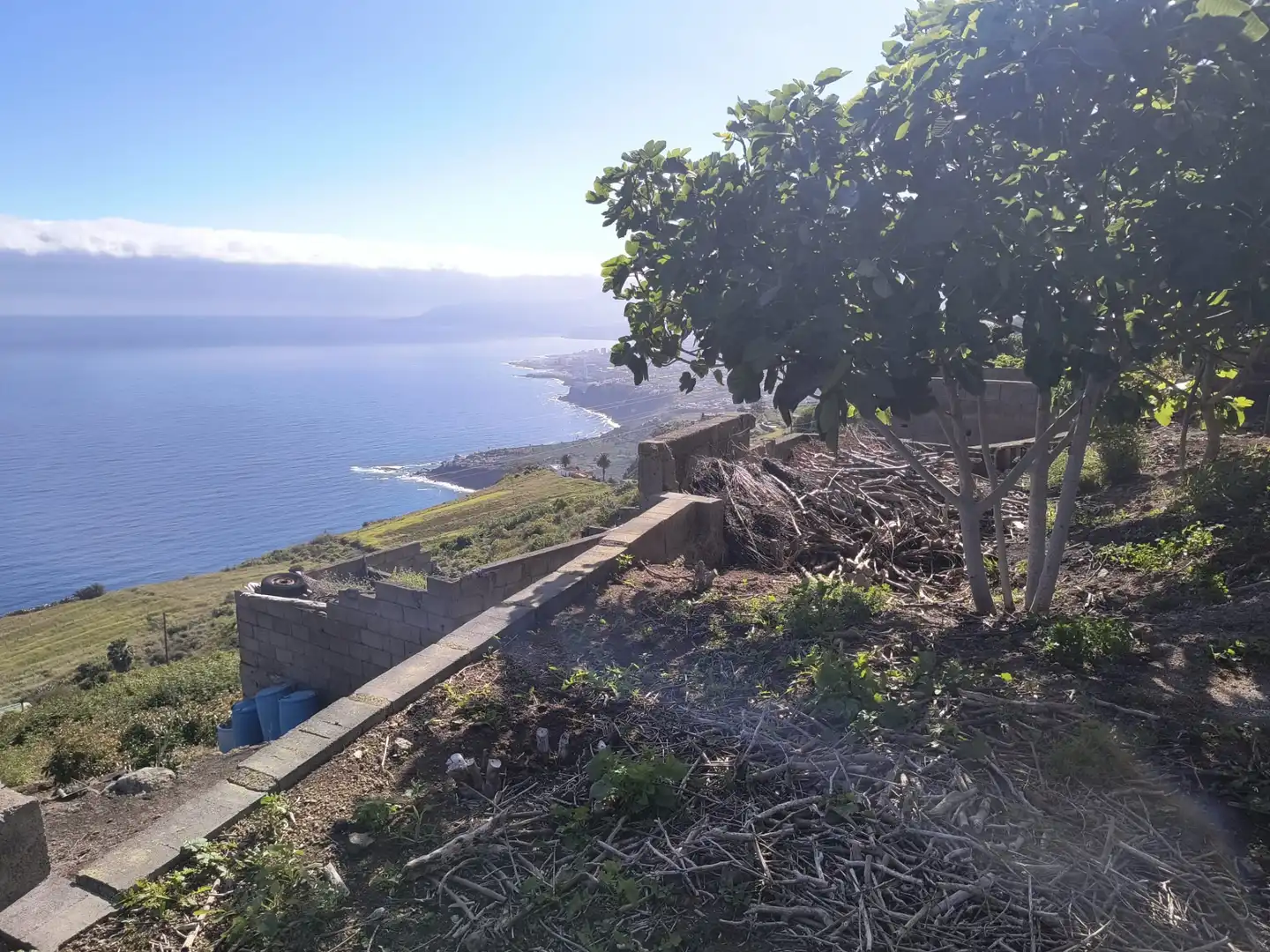 Haus oder Chalet zum Verkauf in Los Realejos mit Privatgarten und Terrasse