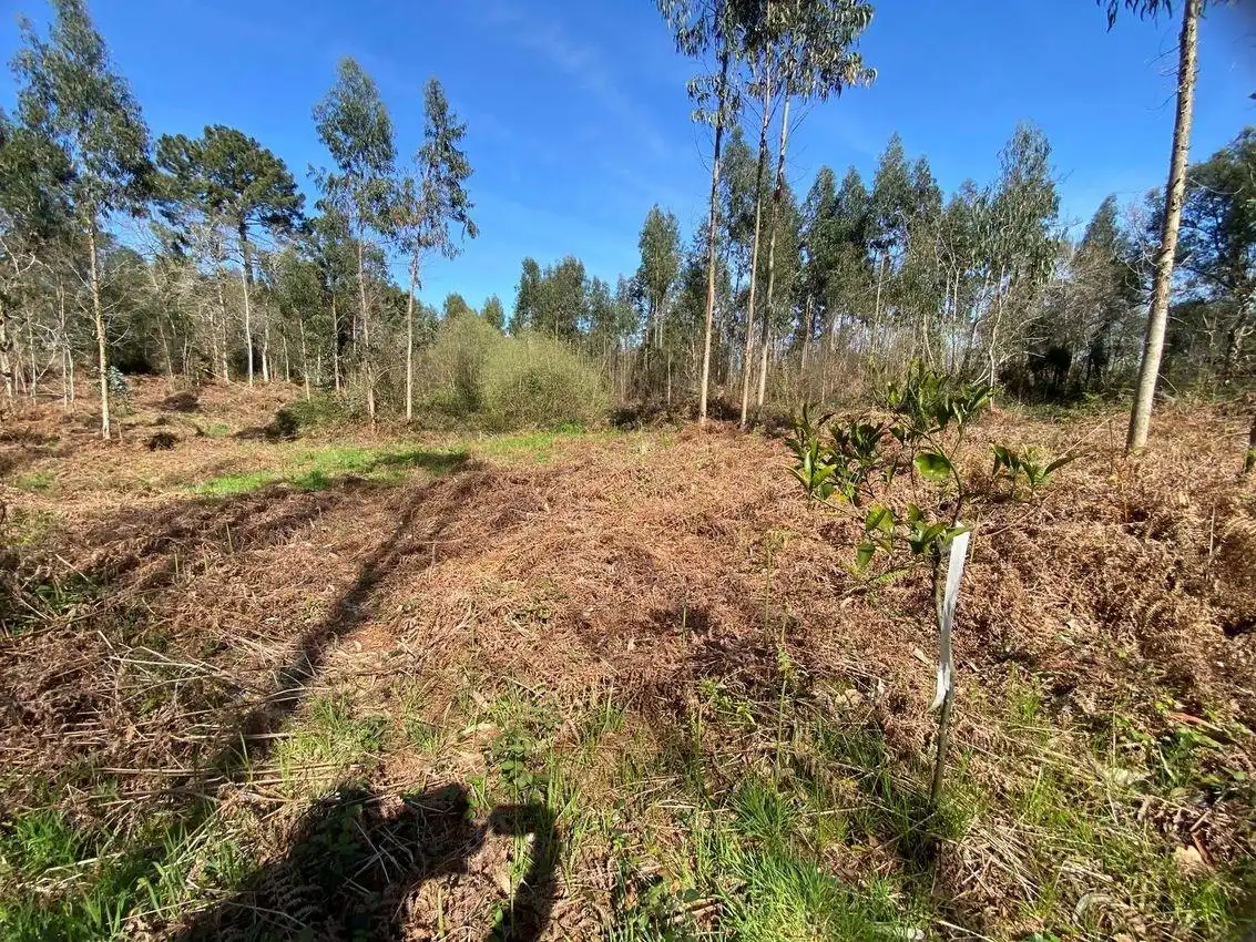 Terreny residencial en venda a Pría - Nueva-Hontoria - Naves, imagen 3