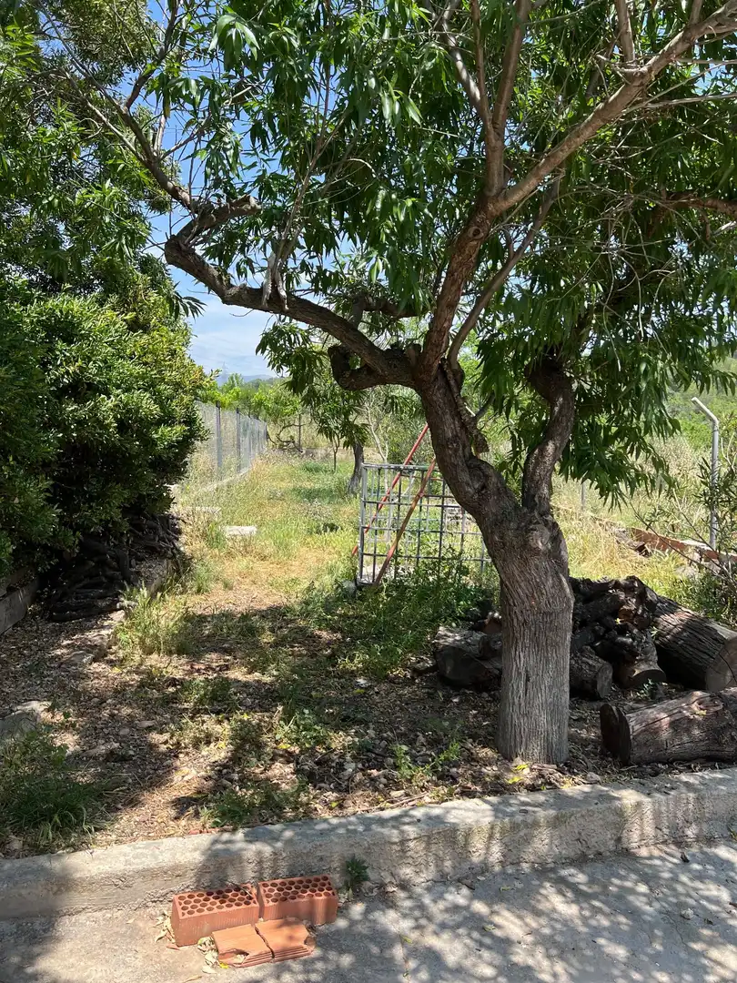 Casa o xalet en venda en Andilla