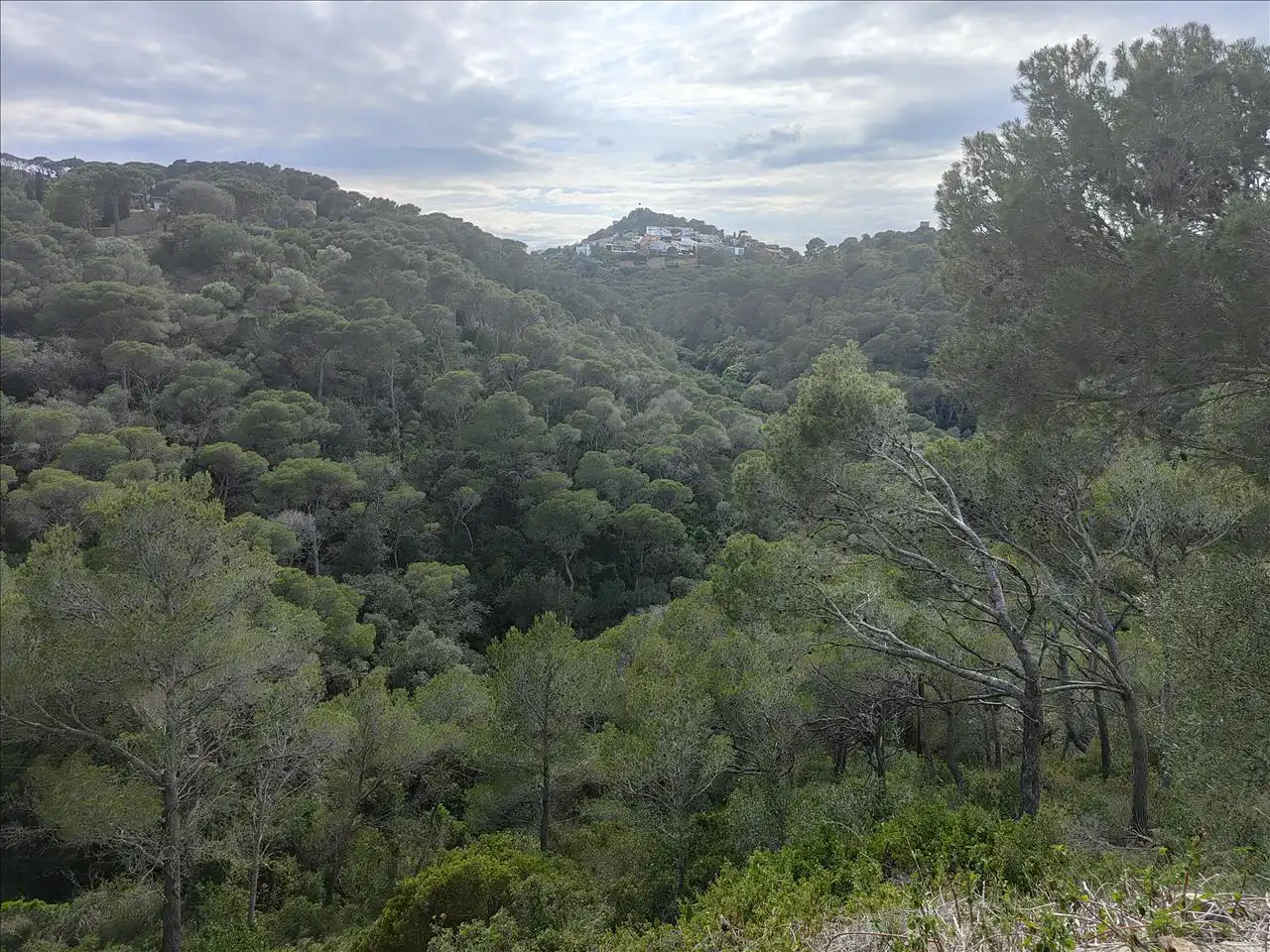 Residential land for sale in Carretera Sa Tuna, imagen 5