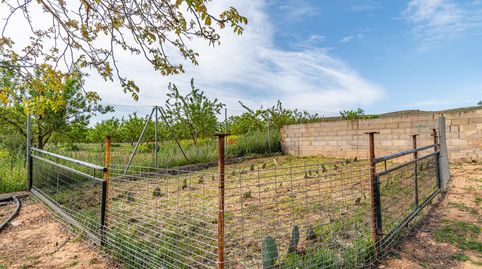 Finca rústica en venta con casa, nave y piscina, immagine 5