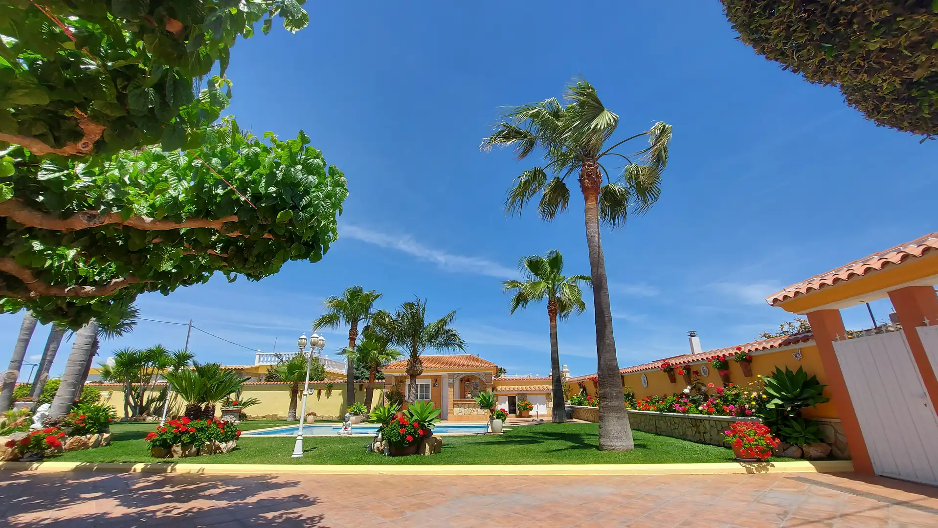Vista exterior de Casa o chalet en venta en Benicarló con Jardín privado, Piscina y Amueblado