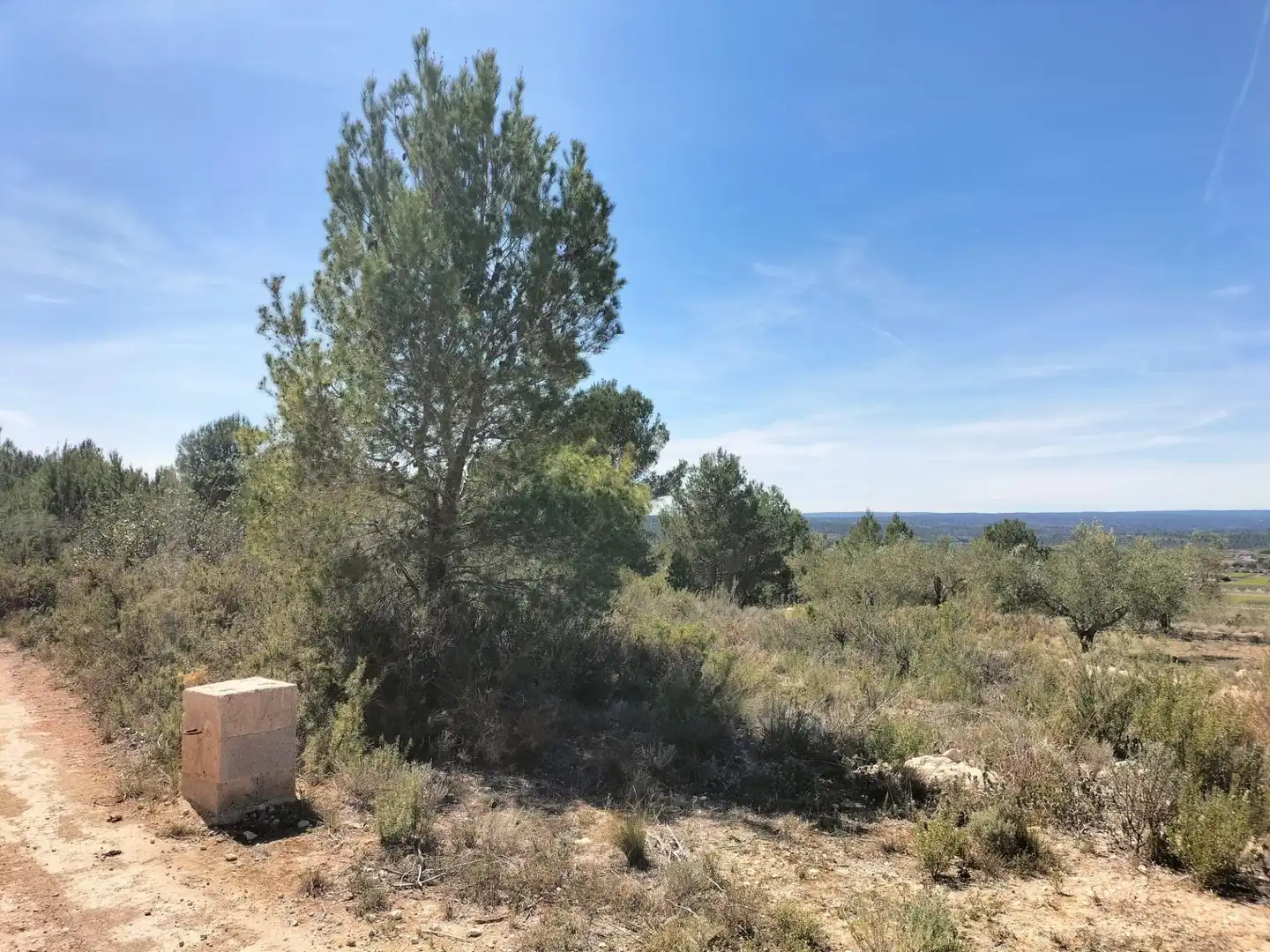 Terreno rustico in vendita a Polígono 10 Parcela 480 LA LOMA. NAVARRES (VALENC 10, imagen 7