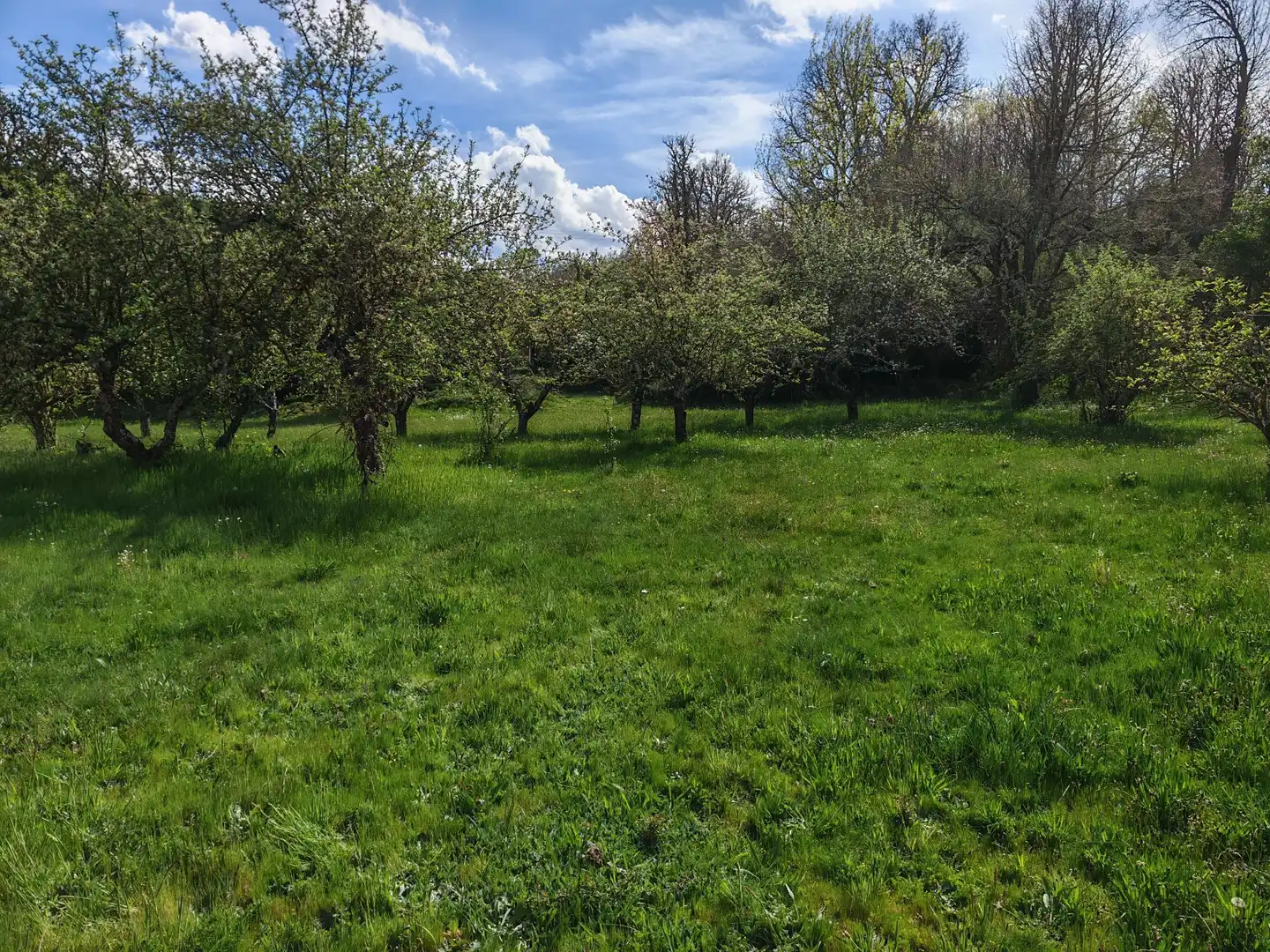 Residential for sale in Magaz de Cepeda