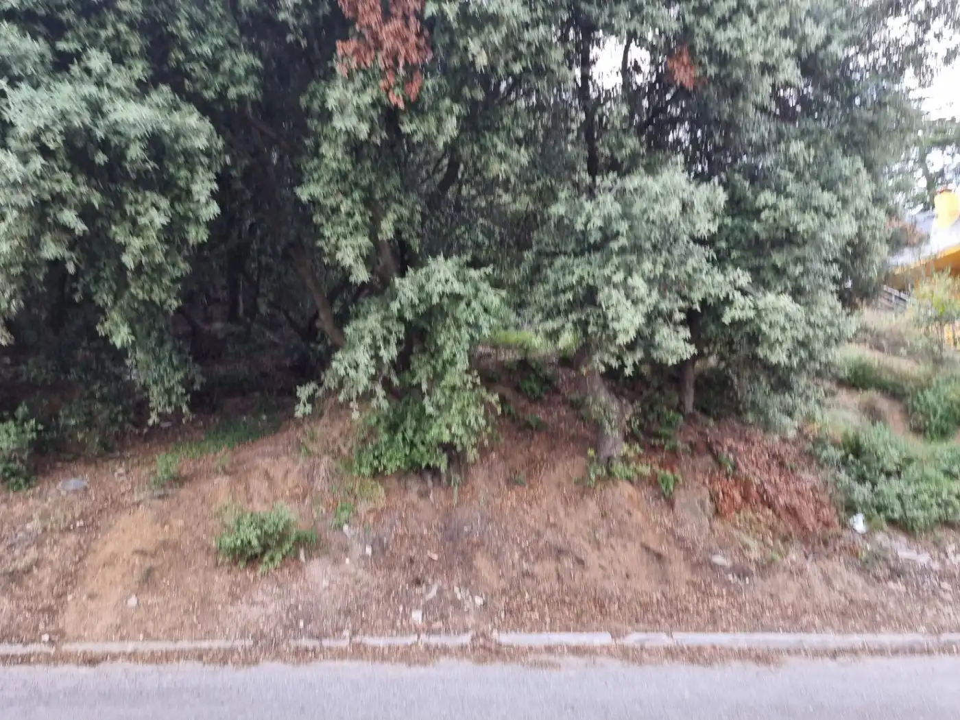 Lands and plots for sale in Calle MARGALLO, imagen 5