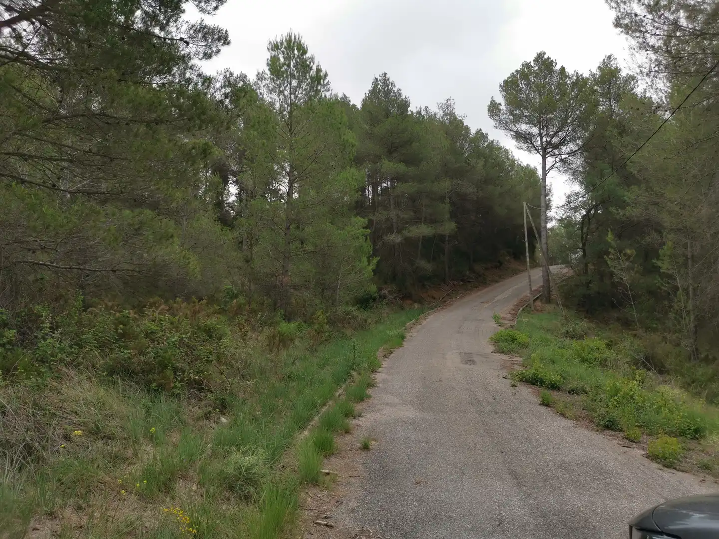 Terreny residencial en venda a El Montmell, imagen 3