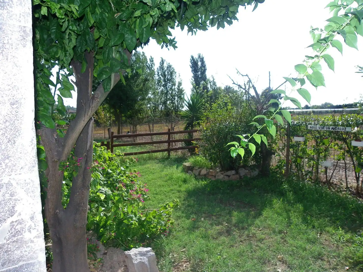 Casa o xalet en venda a Resclosa, Ullà