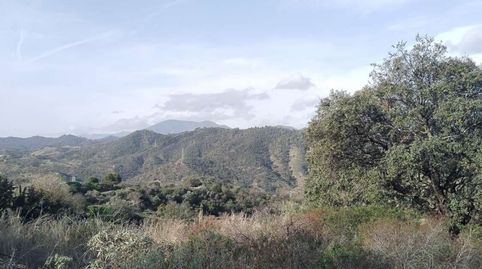 Foto 4 de Terreny en venda a las Cañada O Esquivelas Poligono 19 Parcela, Santa María de Guía de Gran Canaria, Las Palmas