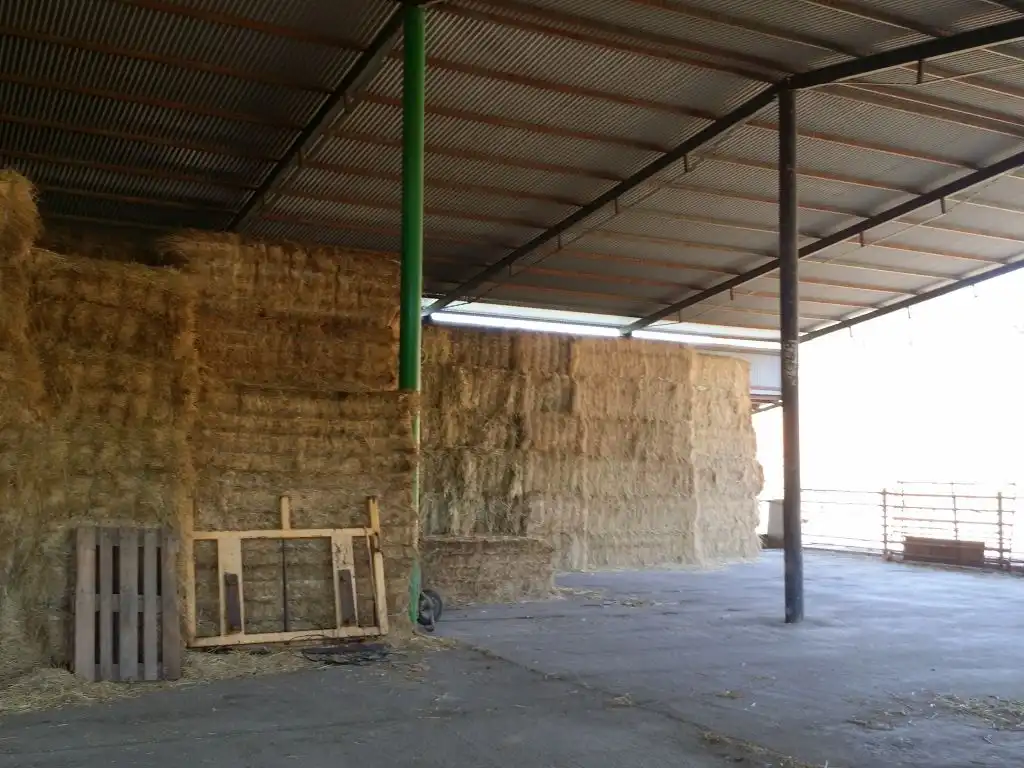 Landhaus mit Garten zum Verkauf in Peñarroya-Pueblonuevo, imagen 7