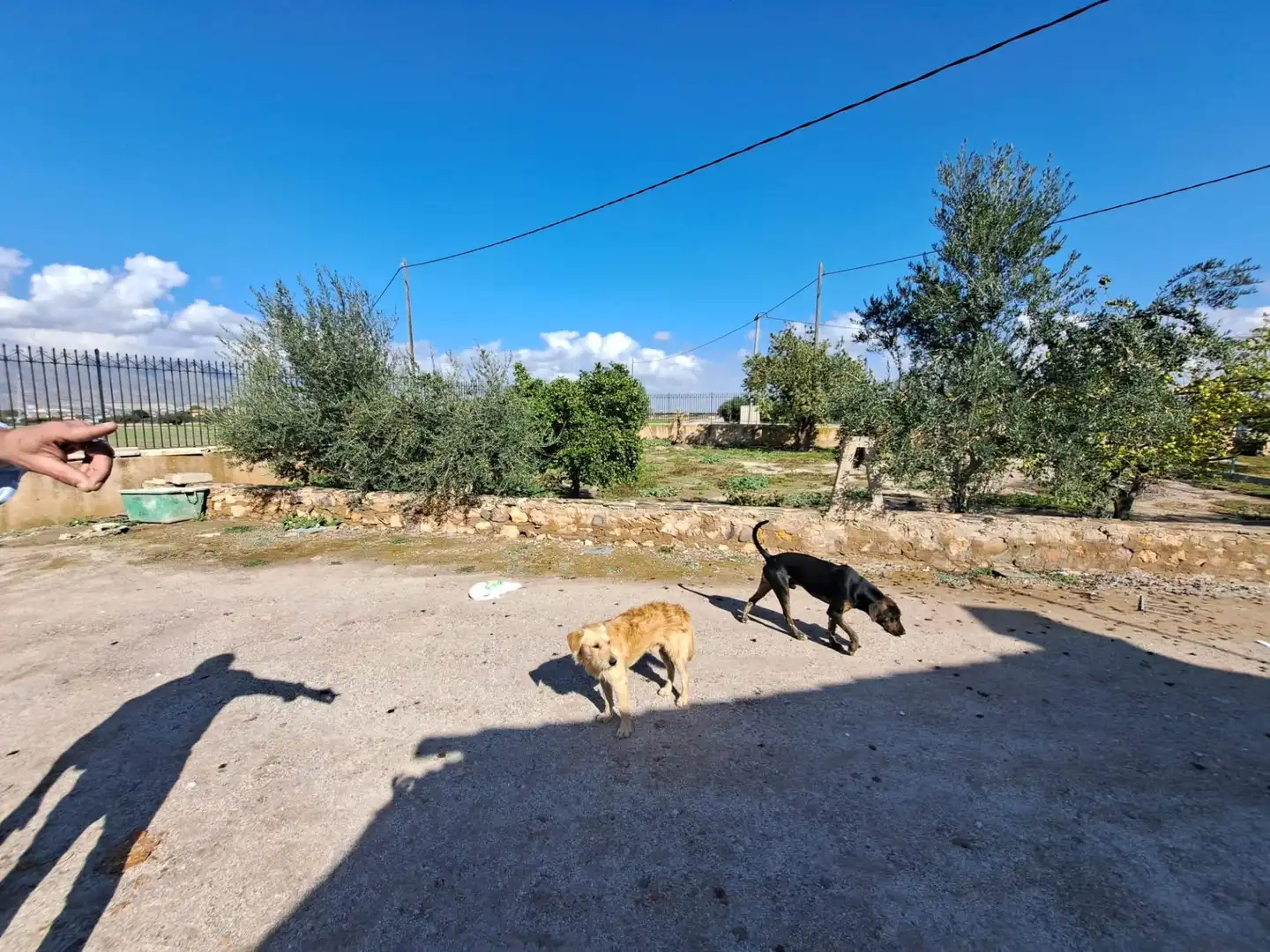 Casa o chalet en venta en Marchena