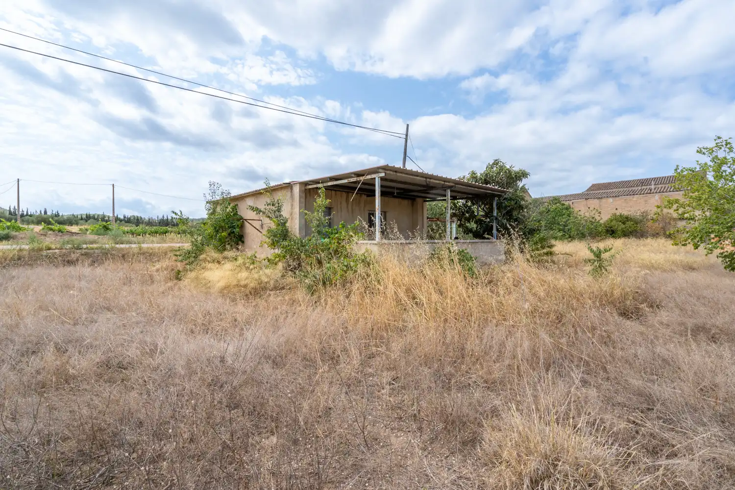 Rural land for sale in Ginestar, imagen 5