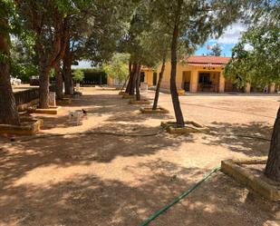 Garden of Land for sale in Villarrobledo