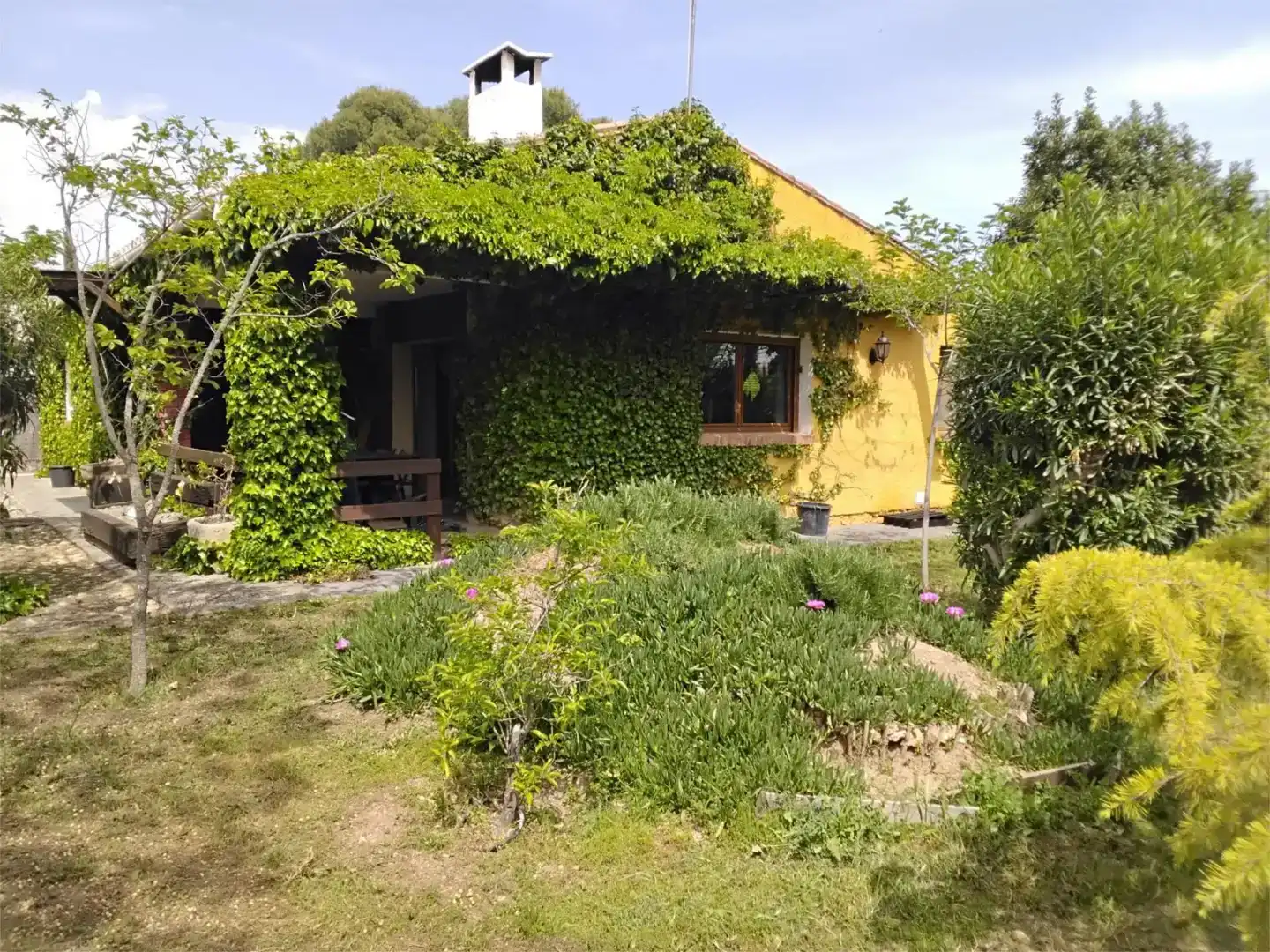 Jardí de Casa o xalet en venda en Miguelturra amb Piscina i Balcó