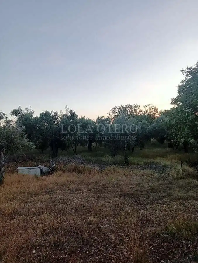 Villa à vendre à Centro, imagen 10