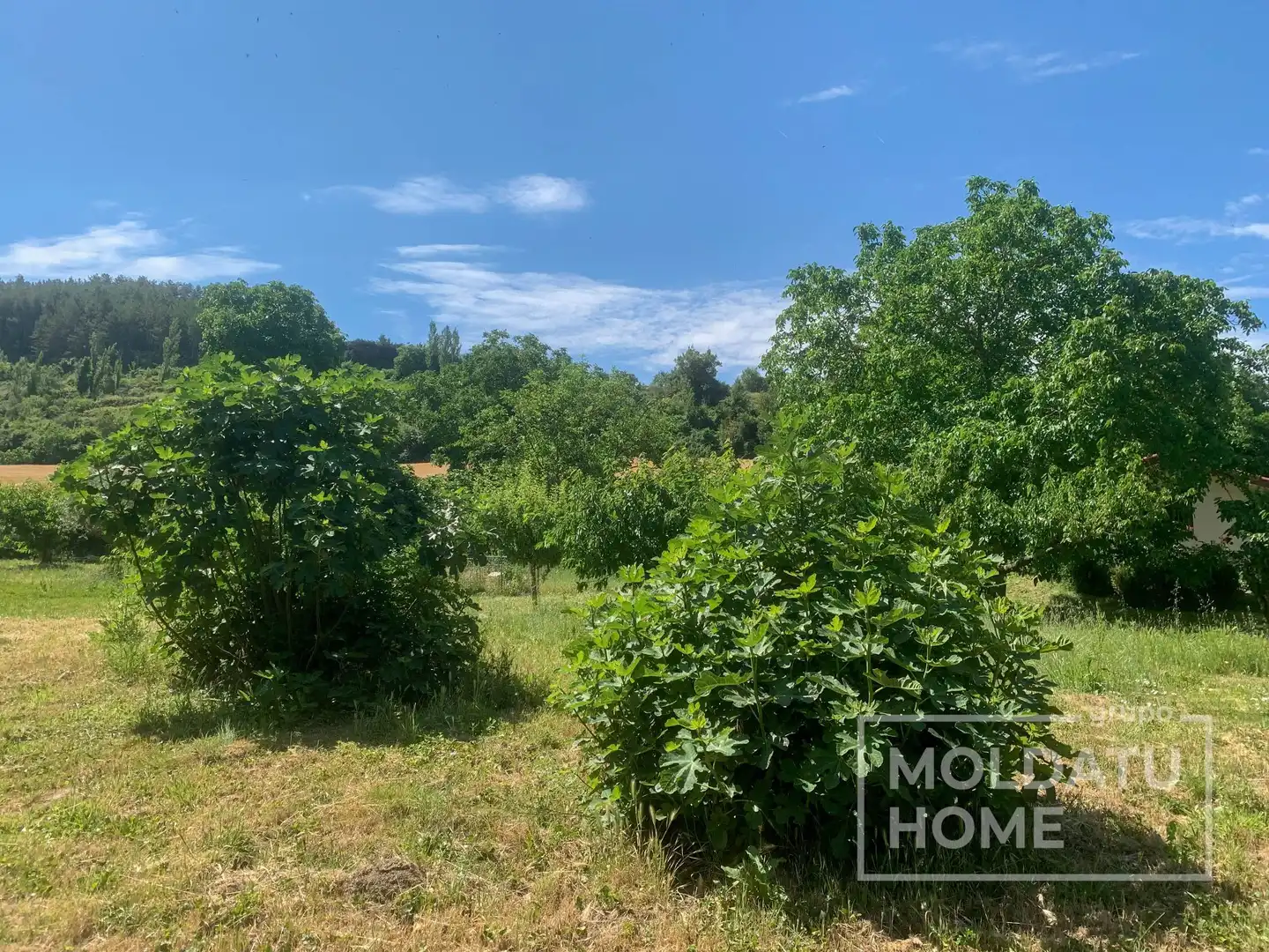 Terreno en venta en Belascoáin