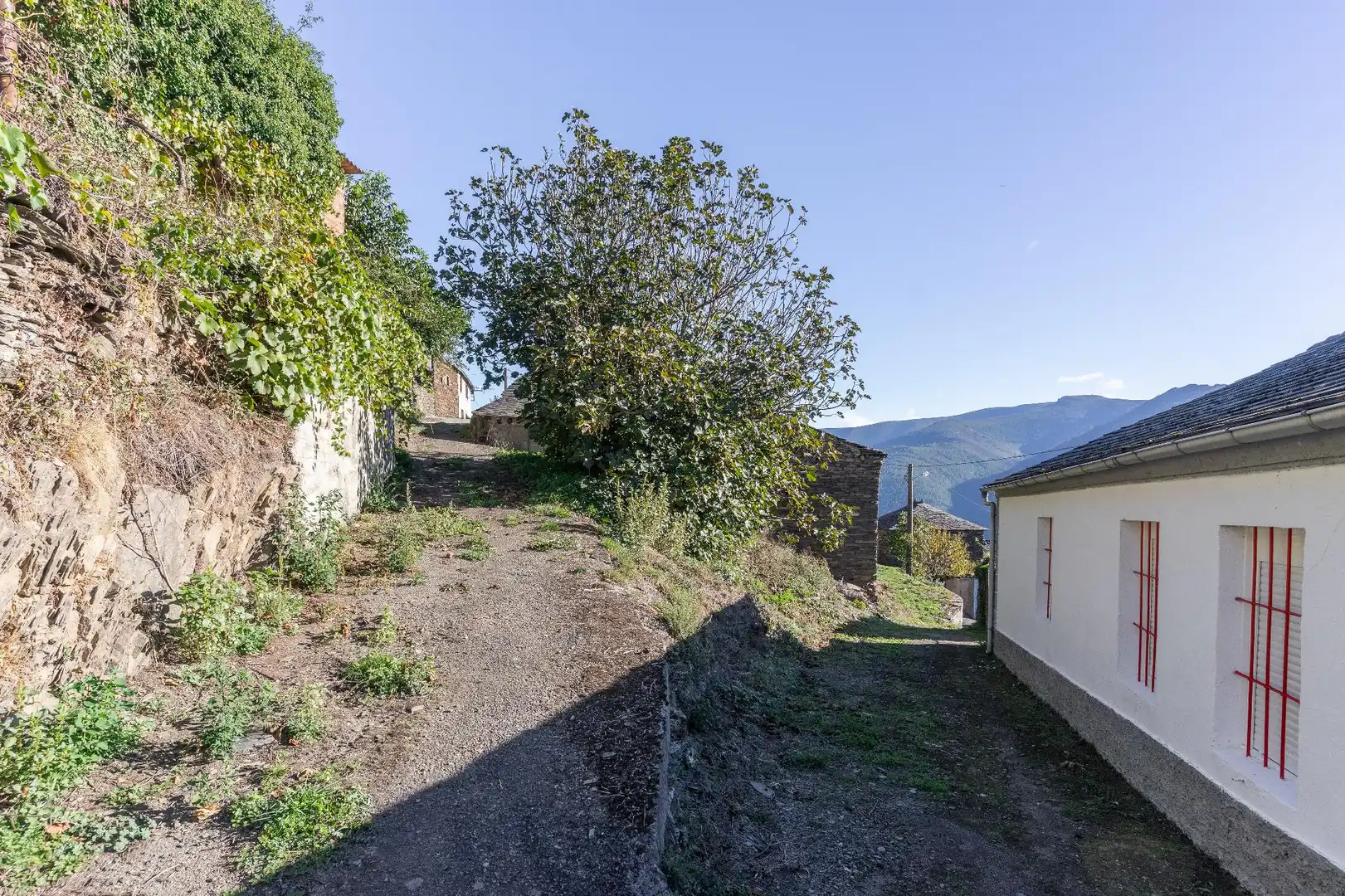 Finca rústica en venda en Negueira de Muñiz , Lugo