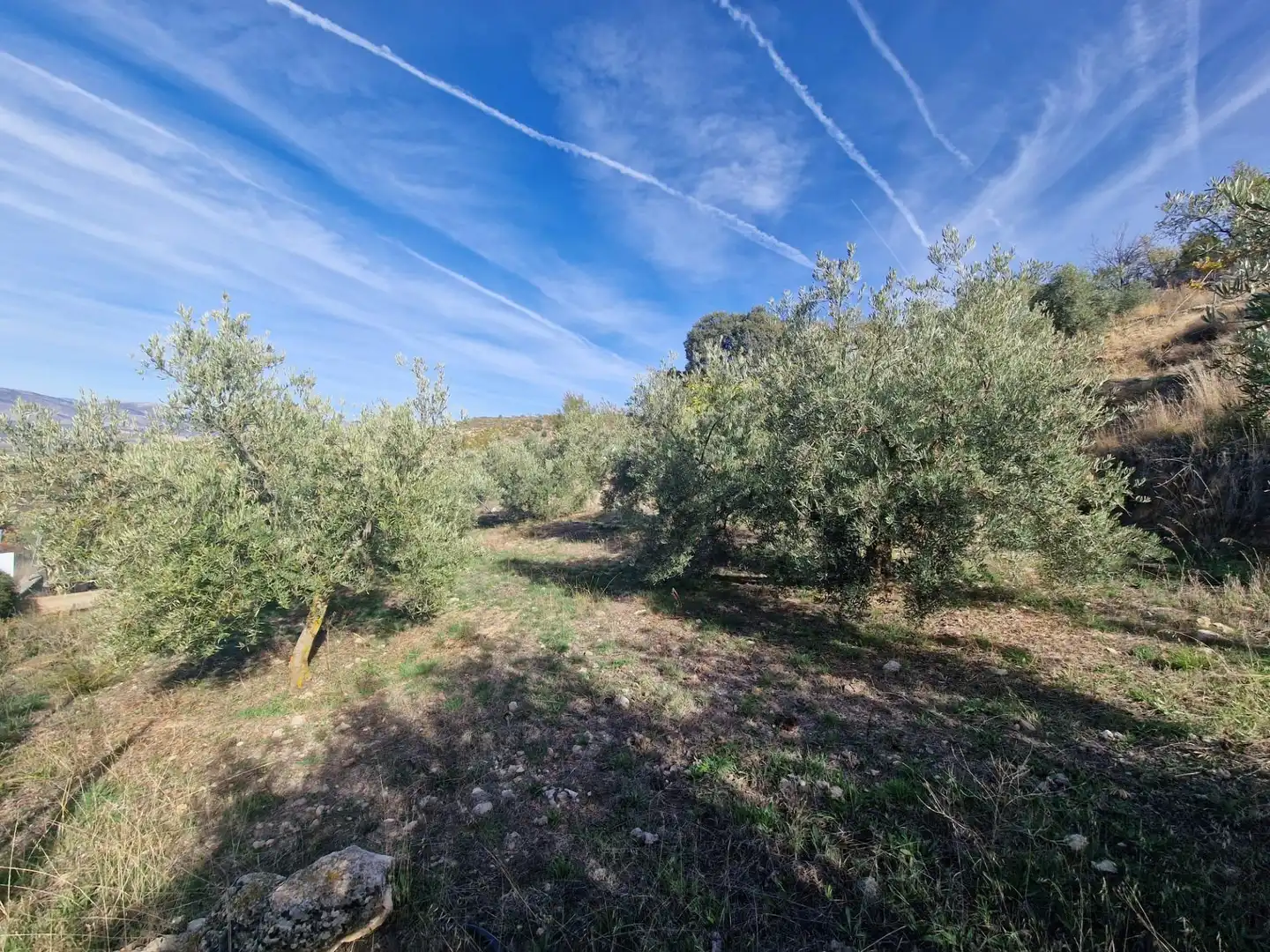 Maison rustique avec jardin à vendre à Cogollos de la Vega, imagen 83