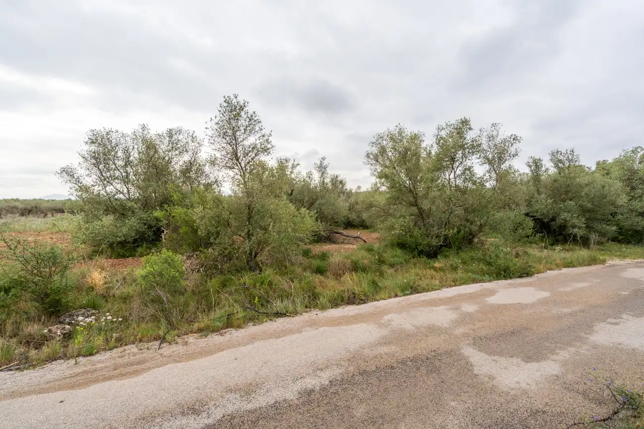 Terreno en venta en Mas de Barberans