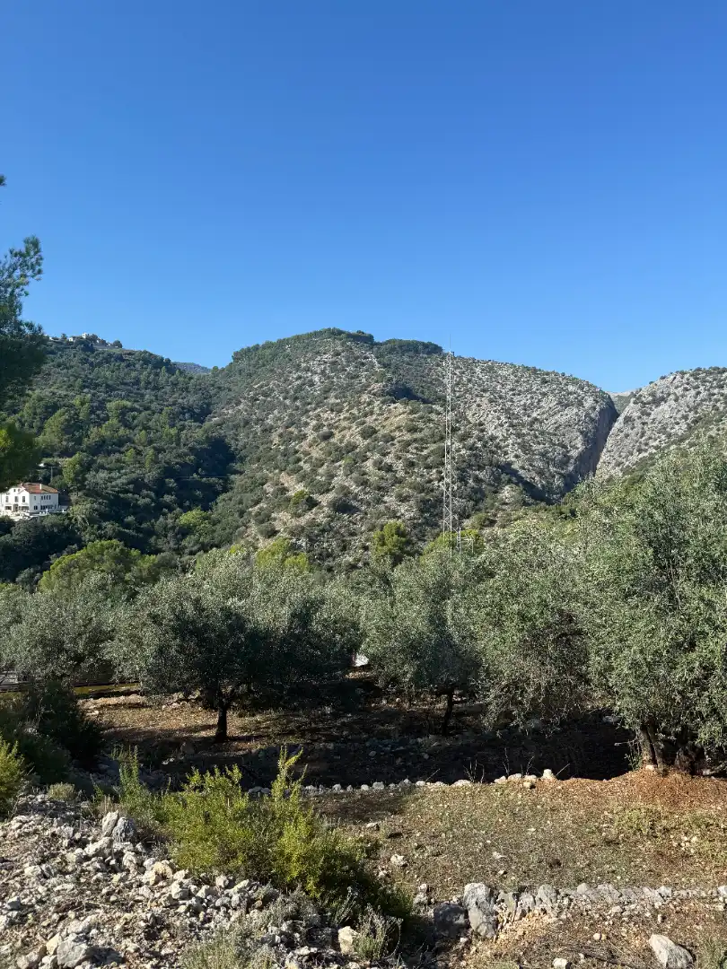 Terreny rústic en venda a La Vall de Laguar, imagen 18