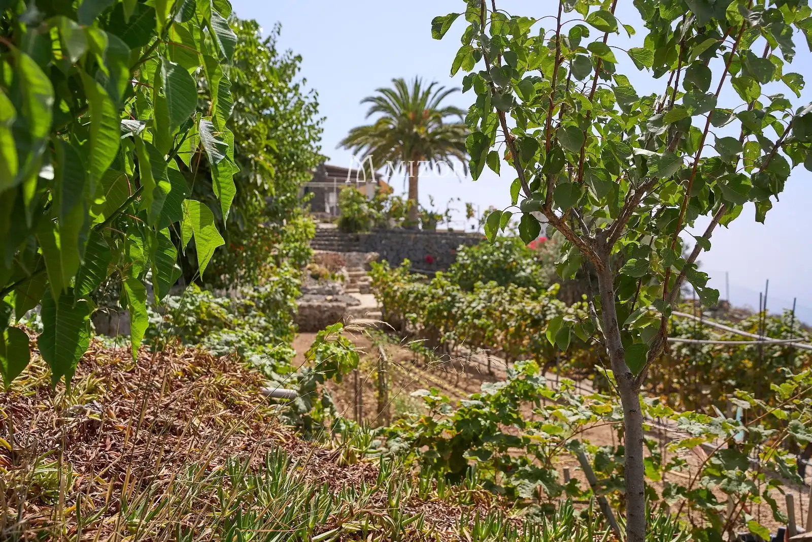 Casa en venta en subida de Vera de Erques, imagen 48