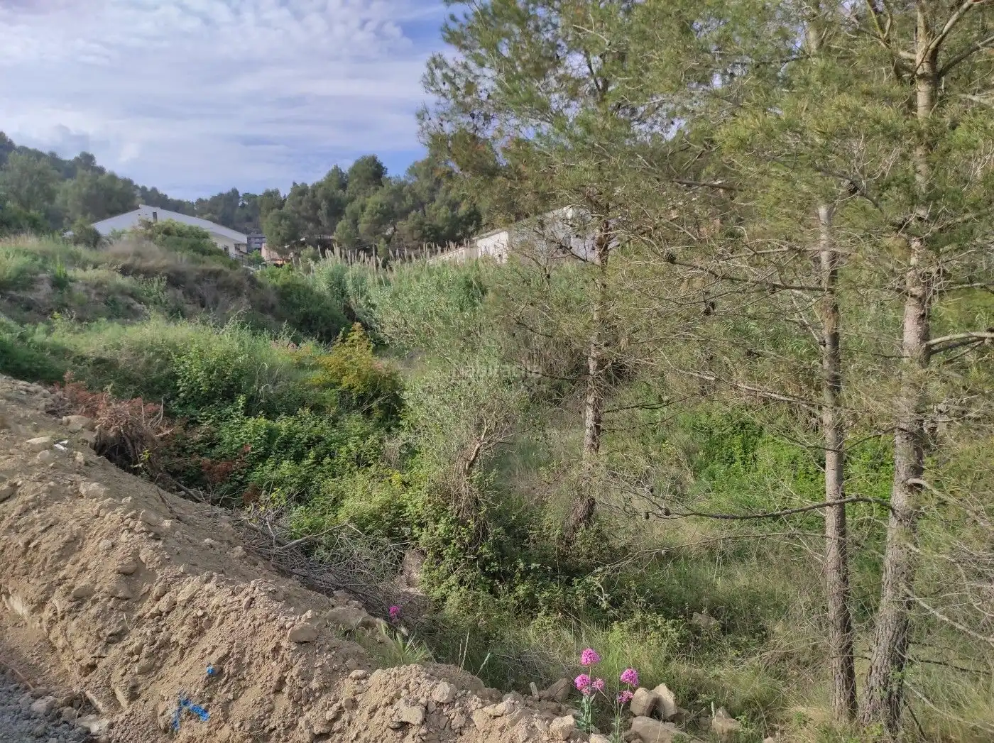 Wohnbaugrundstück zum Verkauf in Avinguda Montserrat 45, imagen 6