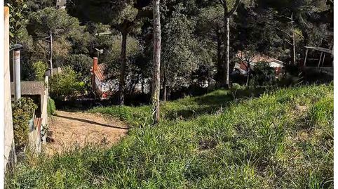 Terreno para casa en Argentona, imatge 4
