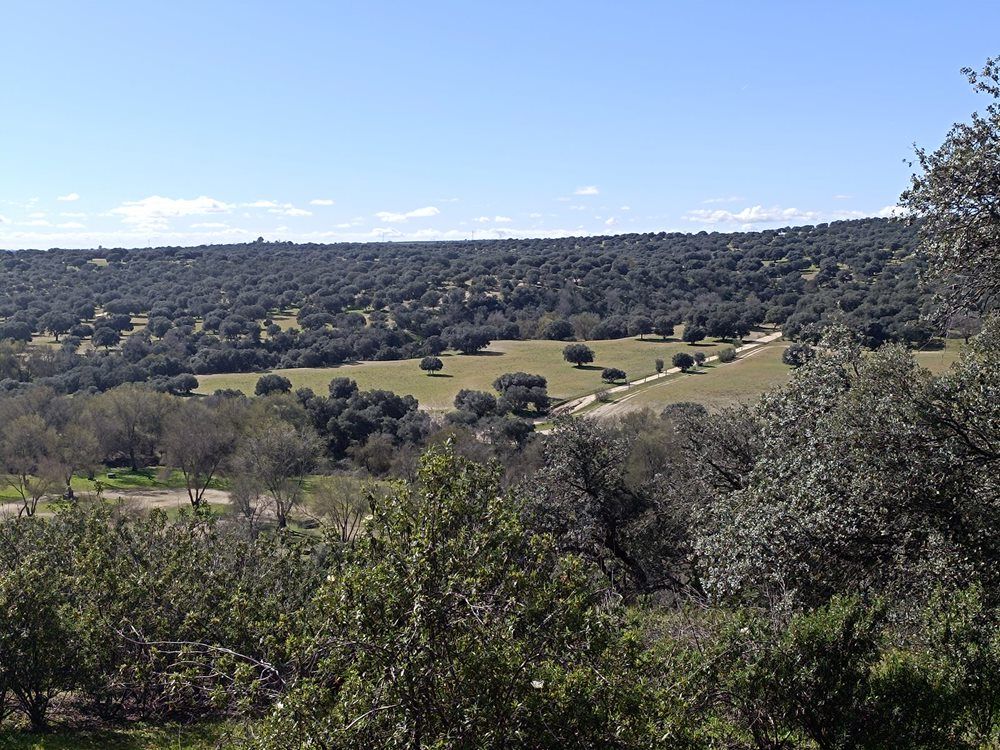 Land for sale in Villafranca del Castillo