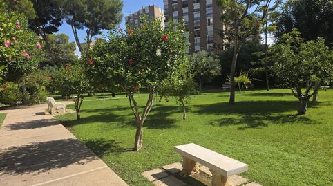 Foto 4 de Apartament de lloguer a Calle Gabriel y Galan-cmor, Campoamor, Orihuela