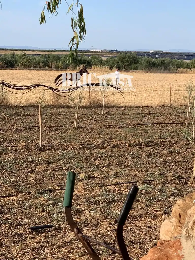 Residencial en venda en Almendral
