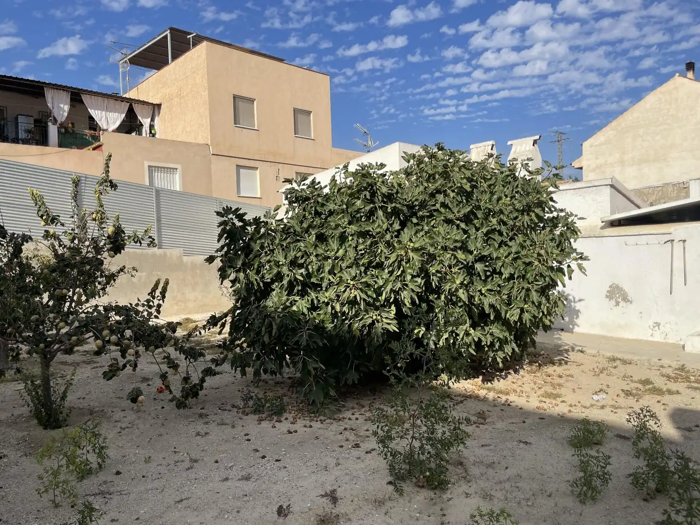 Terrenos y solares en venta en Filipon de Cope, imagen 4