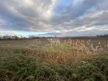 Terreno rustico in vendita a Cihuri