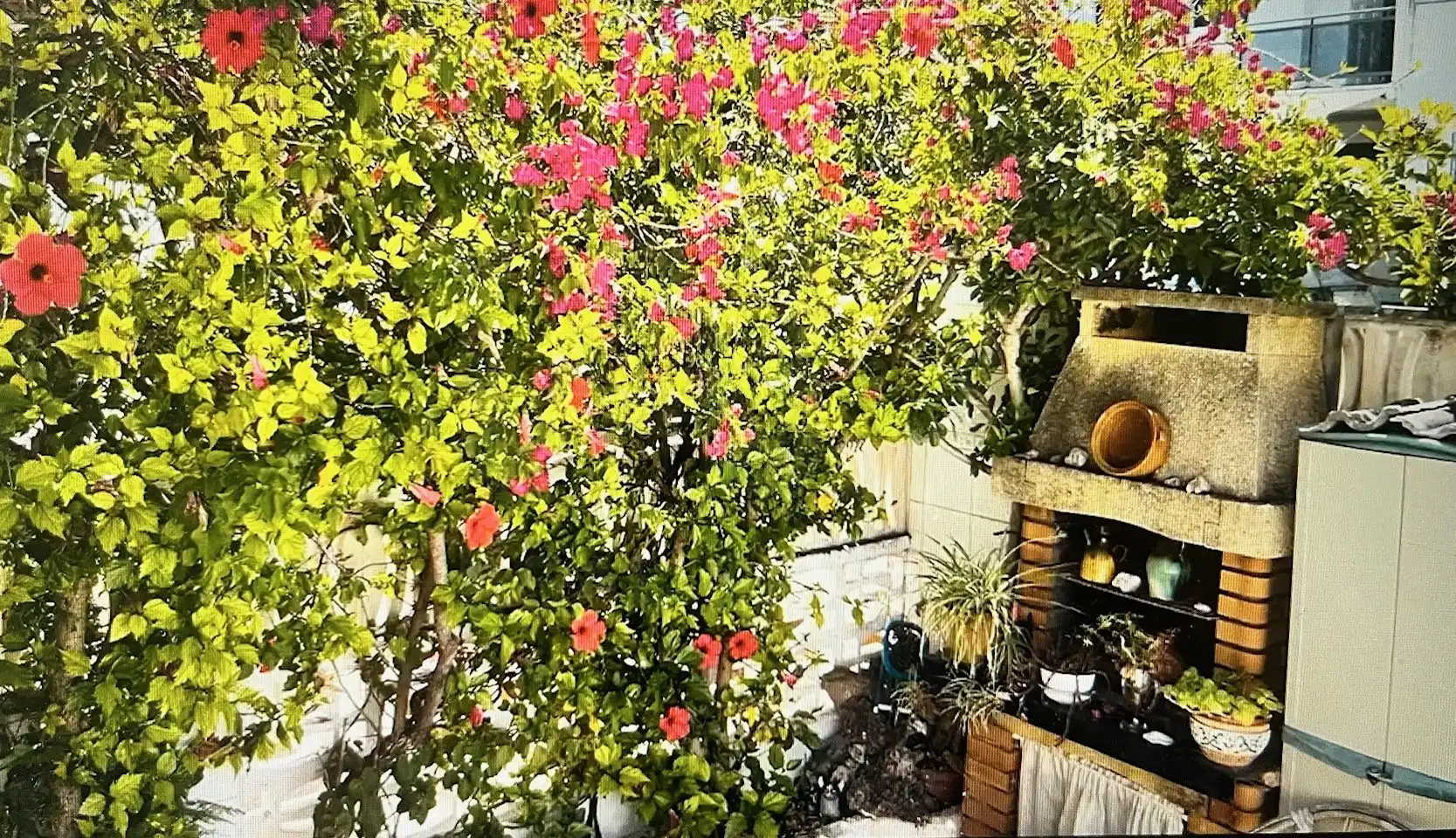 Maison à vendre à Playa Morro de Gos, imagen 22