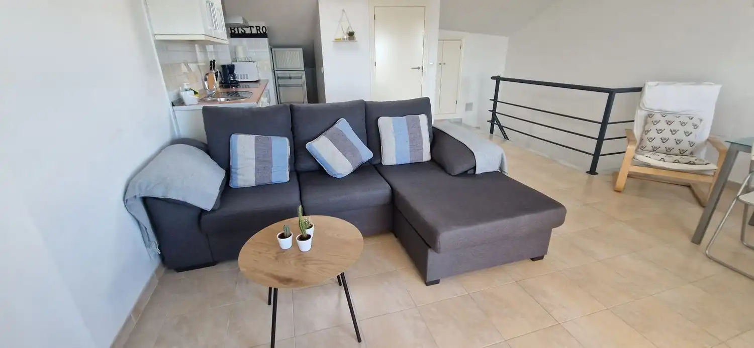 Penthouse mit Aufzug zur Miete in El Rompido, imagen 25