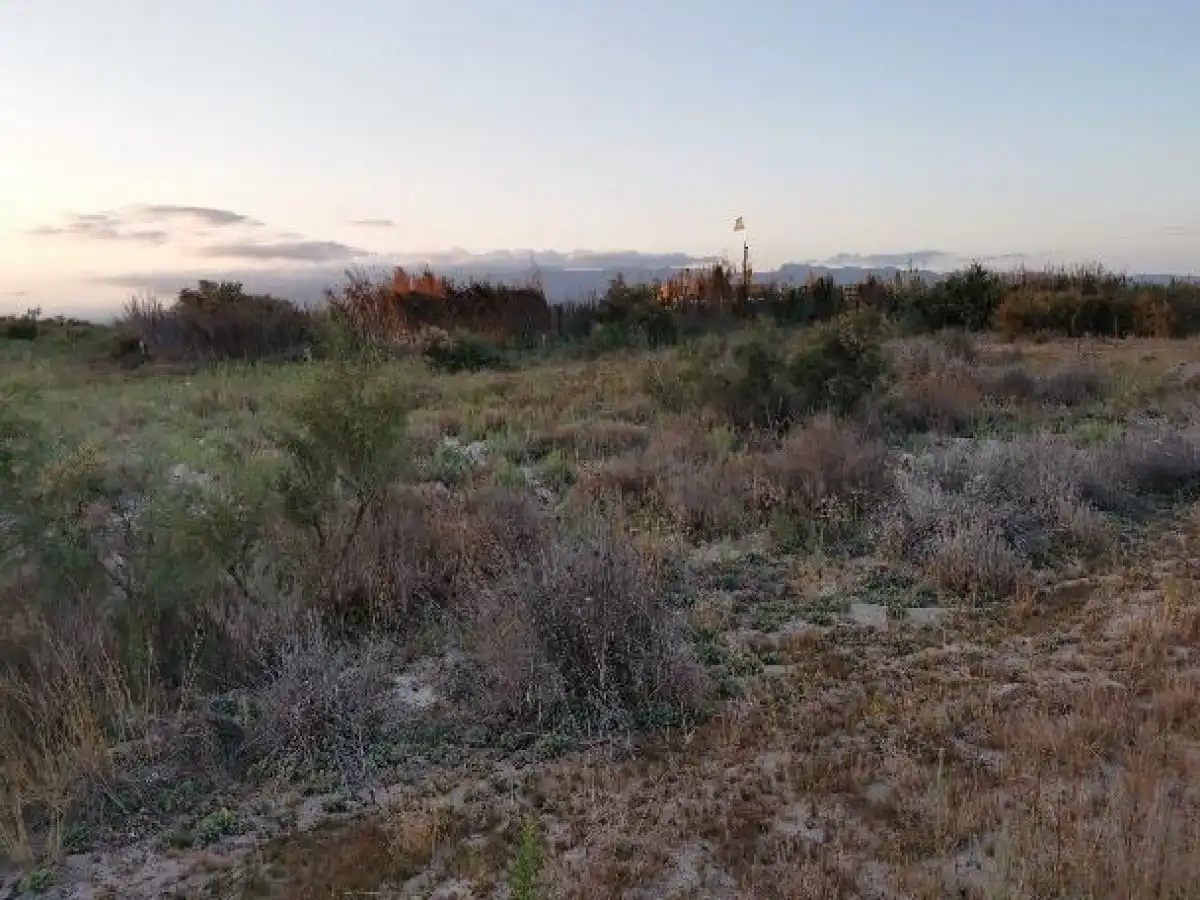 Terreno rustico in vendita a Camino LOS HUERTOS, imagen 45