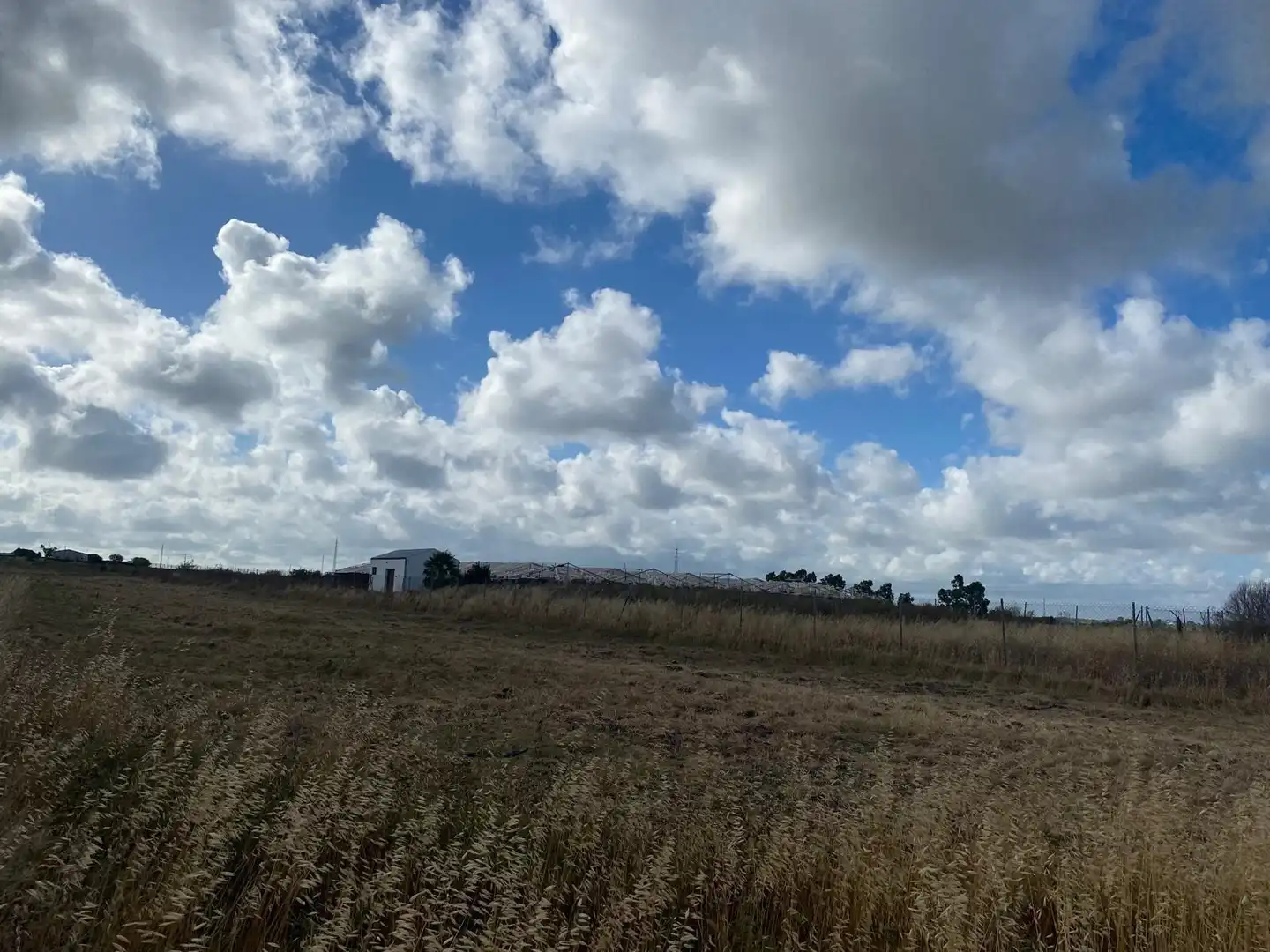 Rural land for sale in Norte - Blanca Paloma, imagen 18