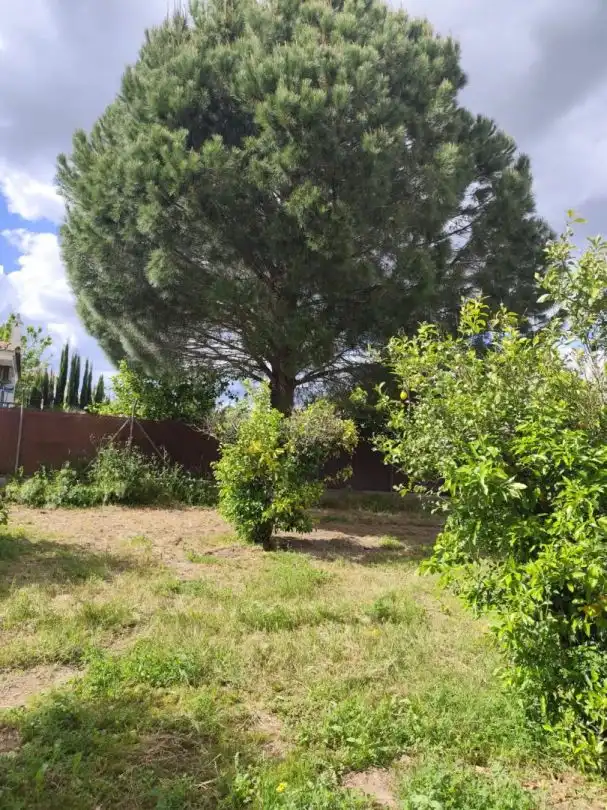 Casa o xalet en venda en Hinojos amb Jardí privat, Terrassa i Traster