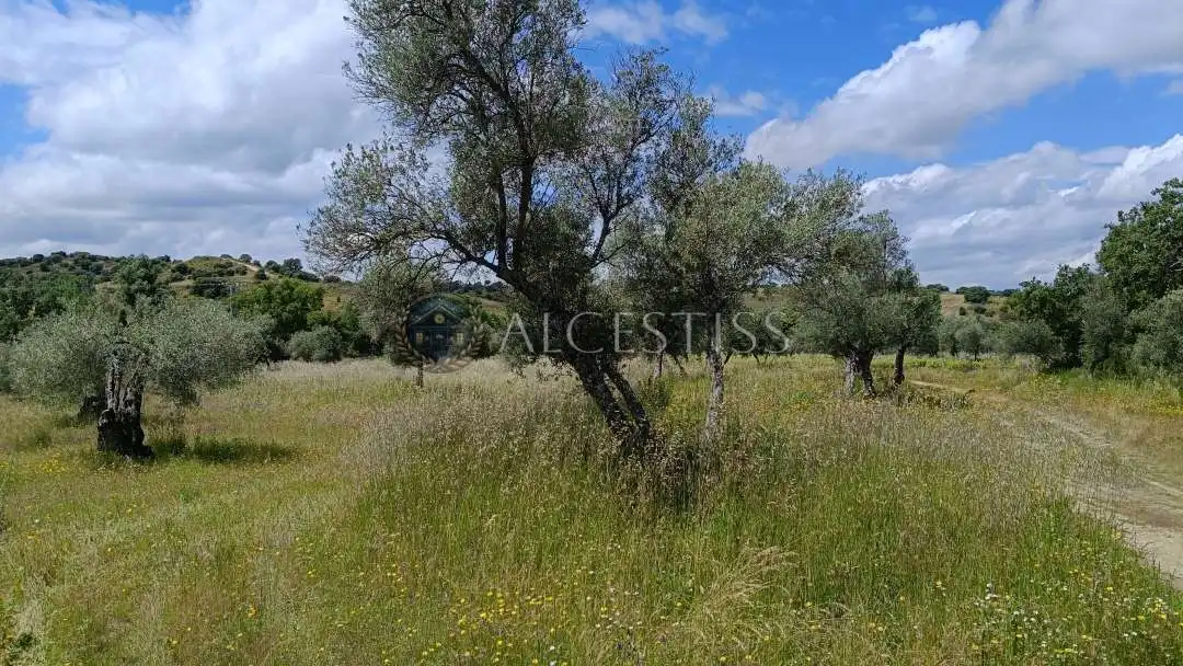 Land for sale in Méntrida