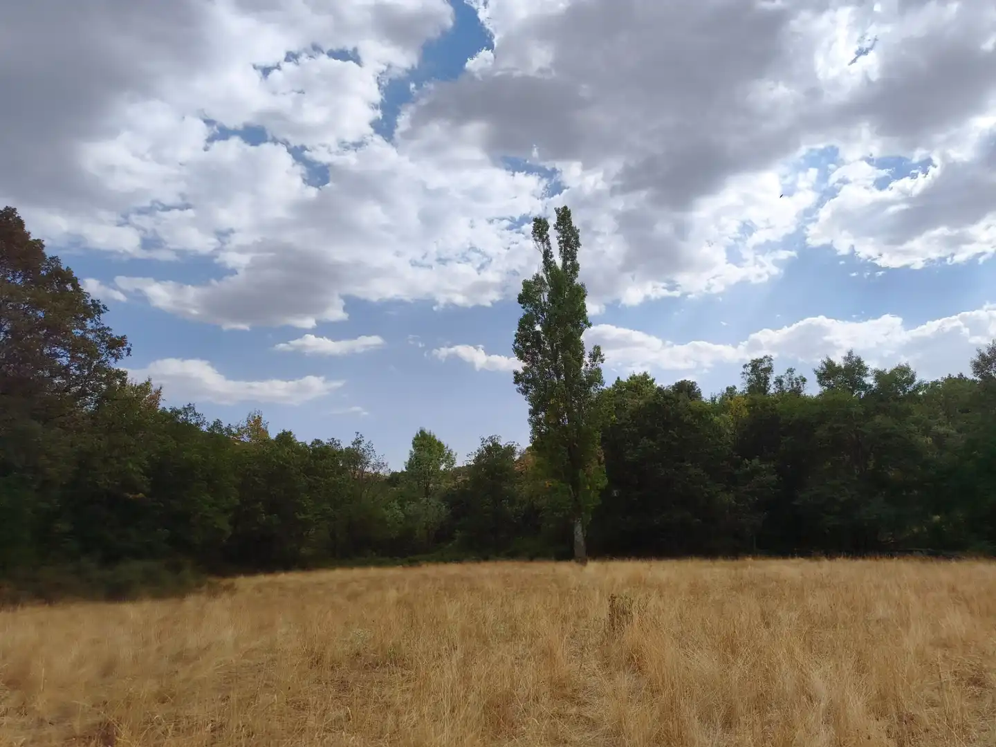 Terreno en venta en Piñuécar-Gandullas