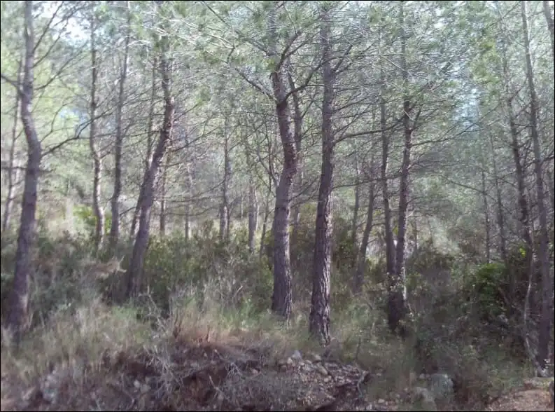 Terreny en venda en Peñíscola / Peníscola