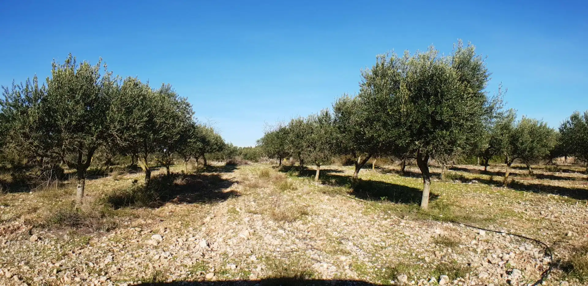 Finca rústica en venta en El Perelló con Jardín privado, Terraza y Trastero
