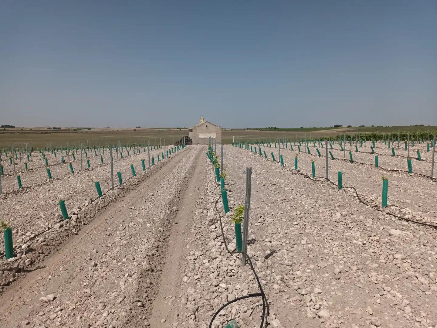 Terreno rustico in vendita a Villarrubia de los Ojos, imagen 5