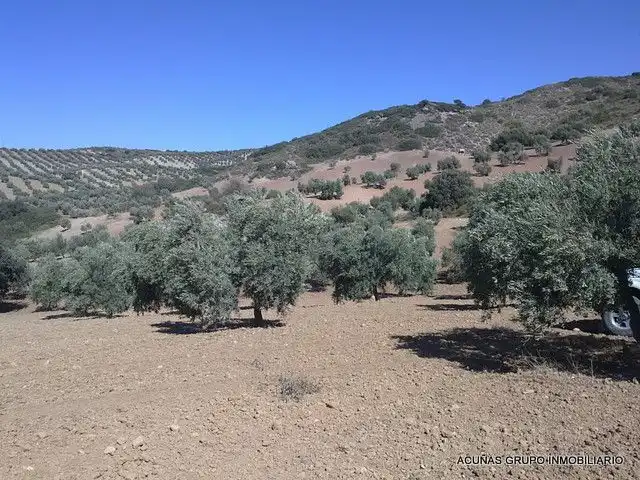 Lands and plots for sale in Bobadilla - Bobadilla Estación - La Joya, imagen 2