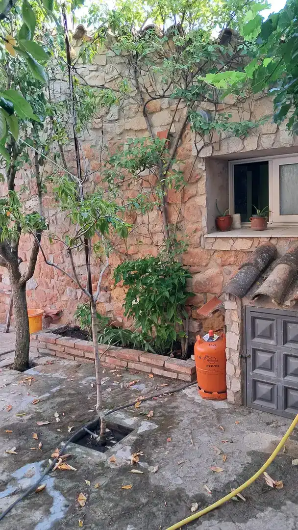 Jardí de Finca rústica en venda en Els Omells de na Gaia amb Balcó