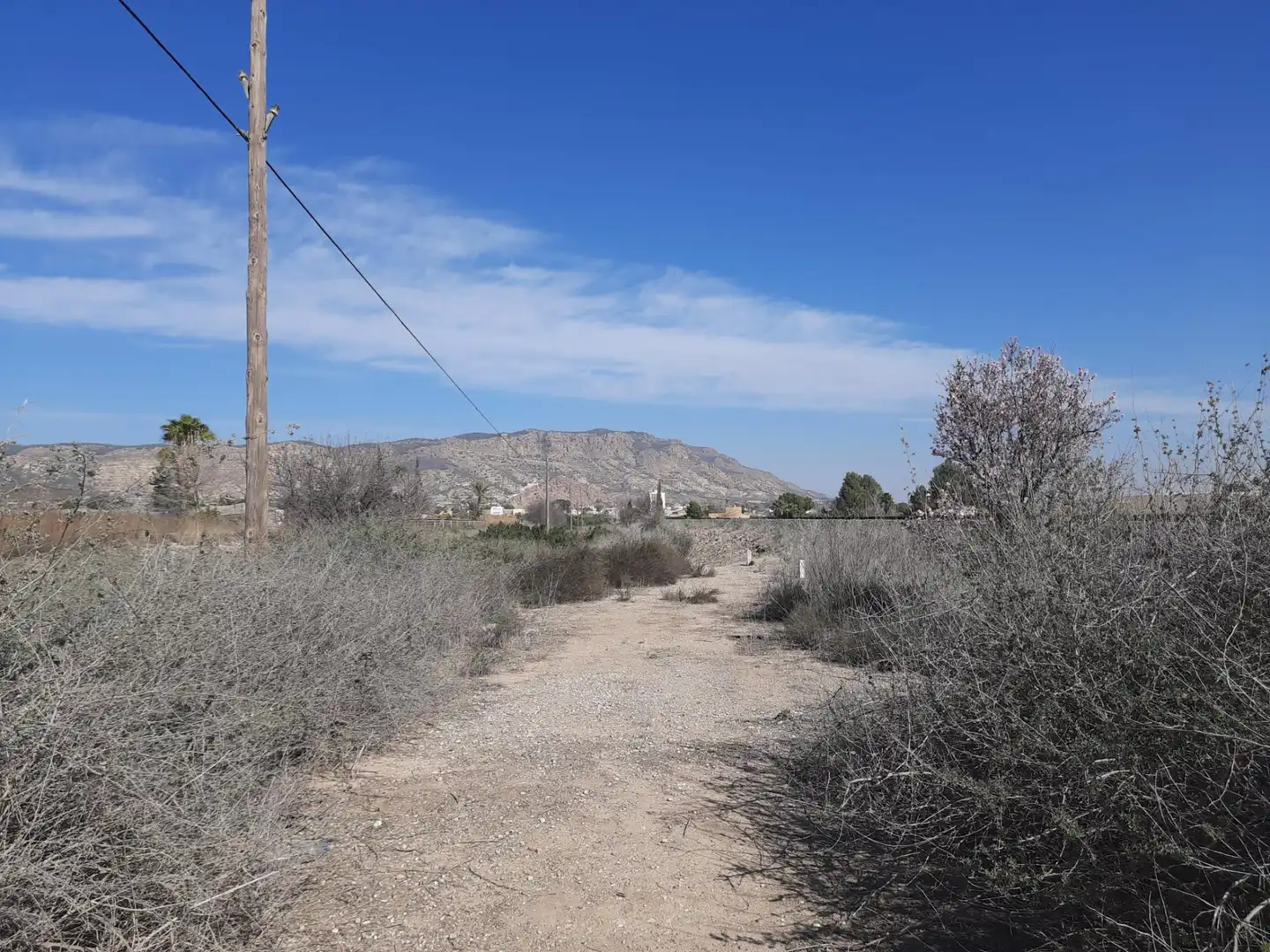 Terreni e lotti in vendita a Alhama de Murcia ciudad, imagen 4