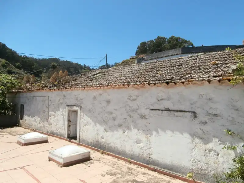 Vista exterior de Finca rústica en venta en Moya (Las Palmas)
