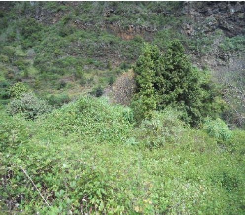 Terreno en venta en San Andrés y Sauces