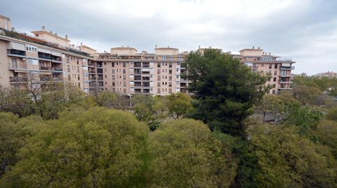 Photo 4 of Flat for rent in Es Camp Redó, Palma de Mallorca